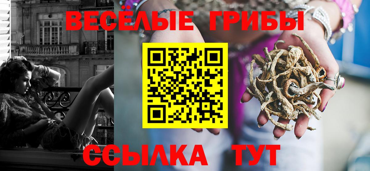 Северобайкальск  Псилоцибиновые грибы прущие грибы  Вход с VPN 